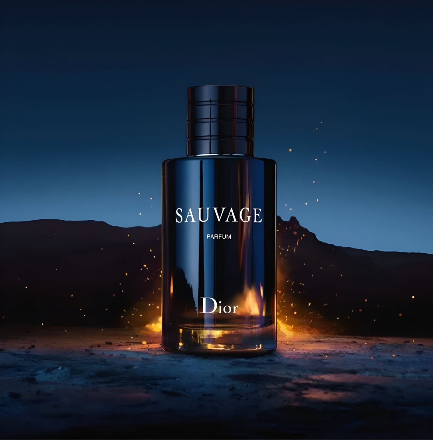 Dior - SAUVAGE IMPRESSION best for men and best for gift - 100ml